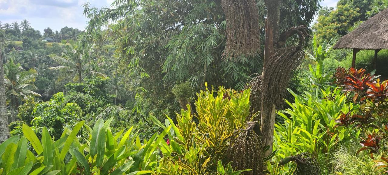 Rumah Sungai Villa Ubud Exterior foto
