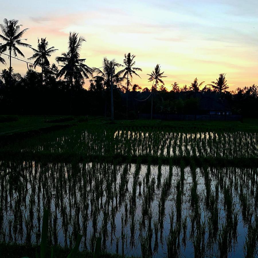 Rumah Sungai Villa Ubud Exterior foto