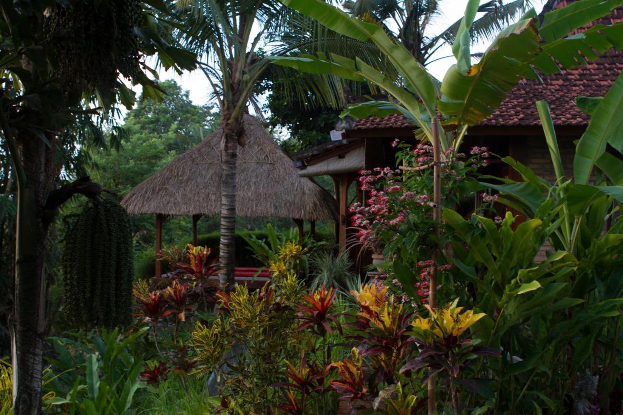 Rumah Sungai Villa Ubud Exterior foto