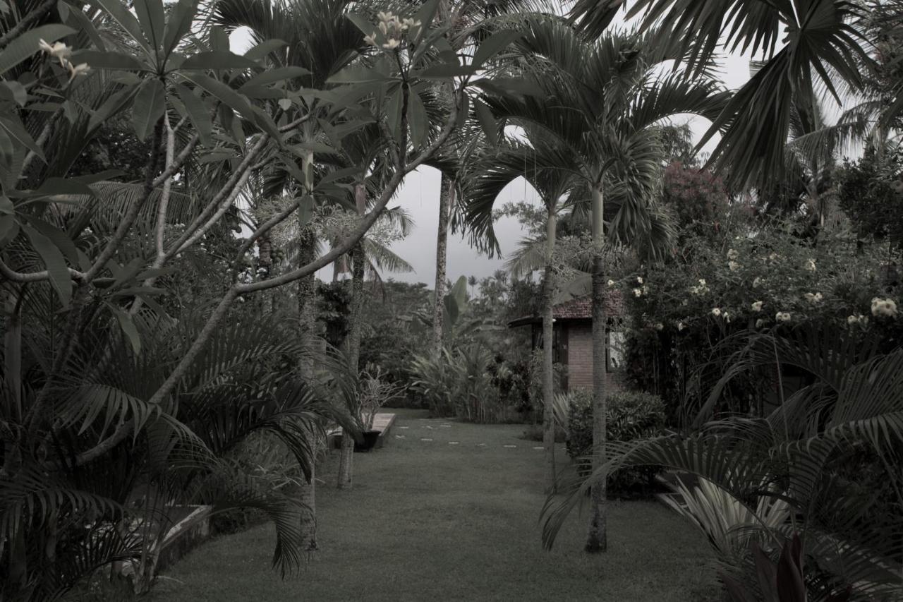 Rumah Sungai Villa Ubud Exterior foto