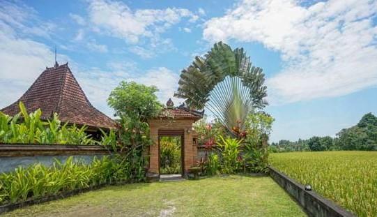 Rumah Sungai Villa Ubud Exterior foto