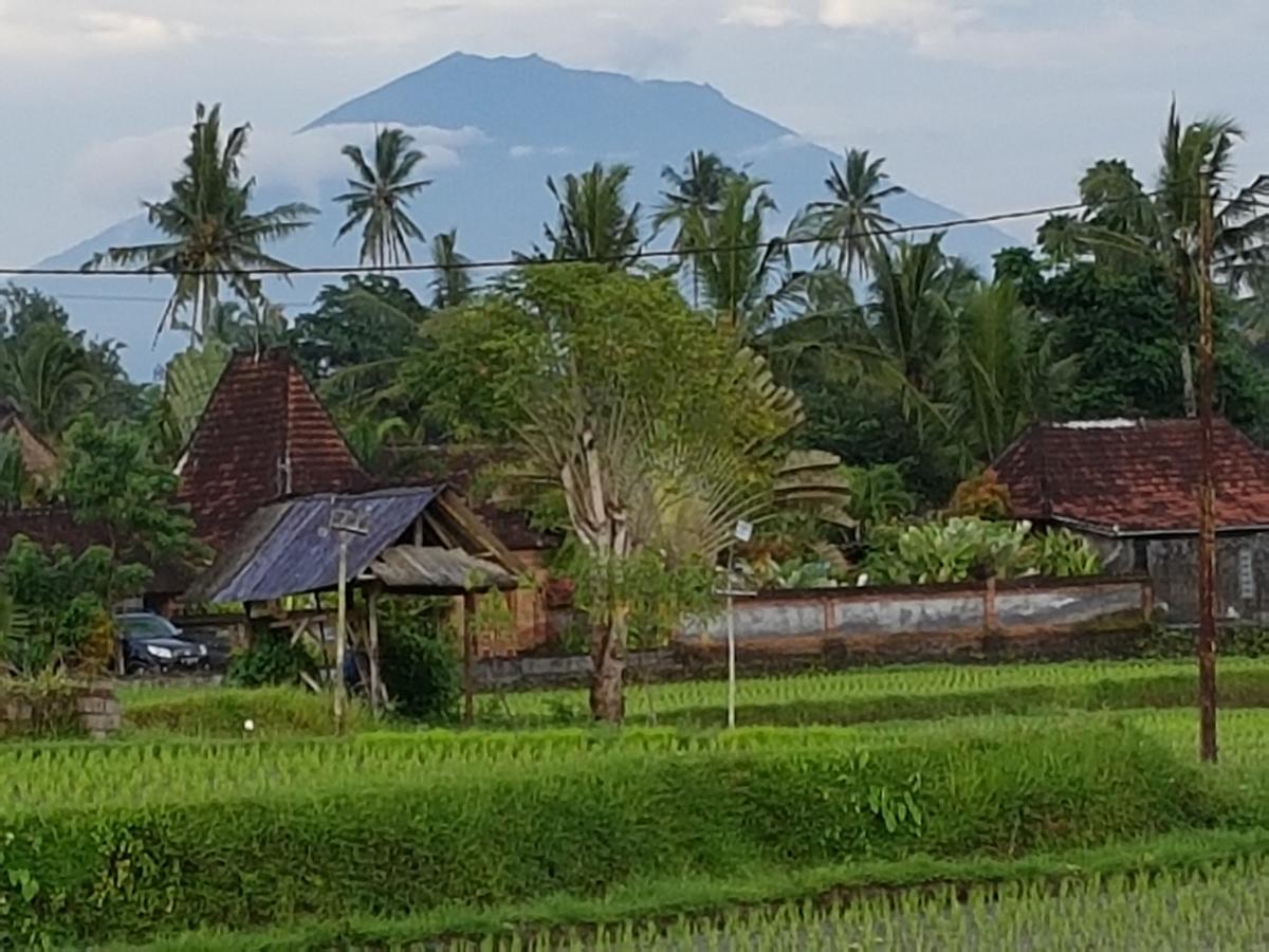 Rumah Sungai Villa Ubud Exterior foto