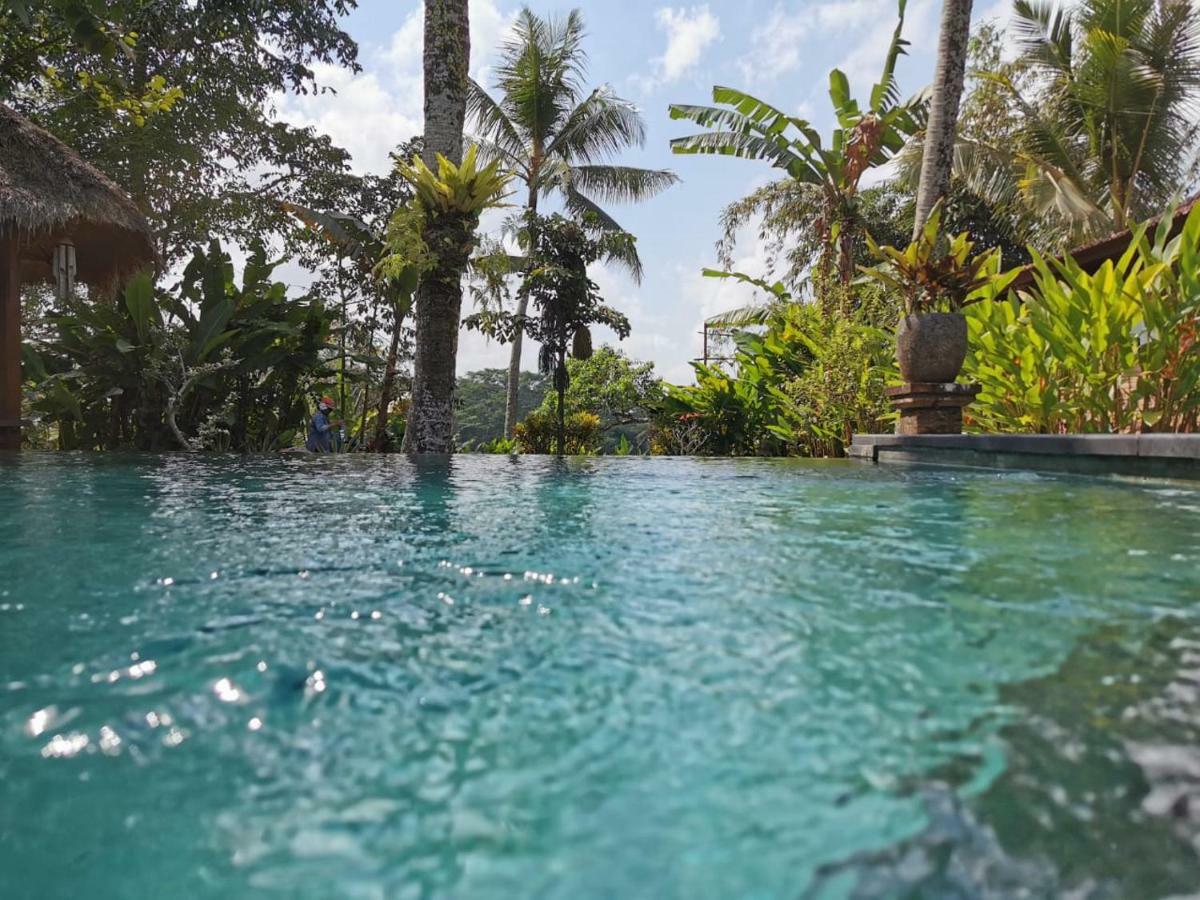 Rumah Sungai Villa Ubud Exterior foto